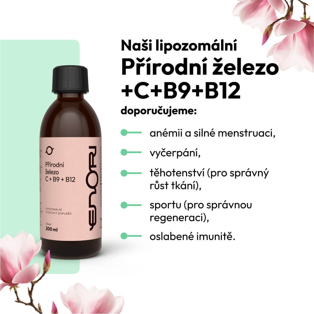 Železo+C+B9+B12